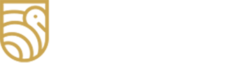 Swan Insurance Brokers
